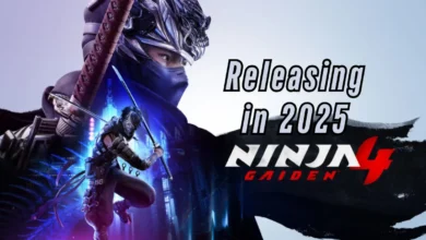 Ninja Gaiden 4